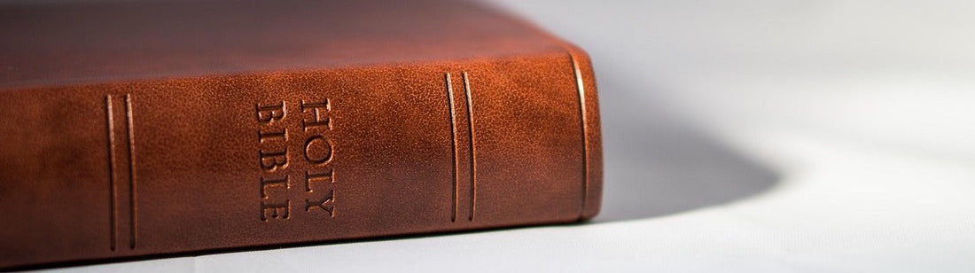 El “Supply” del Narcisista: el combustible de su ego